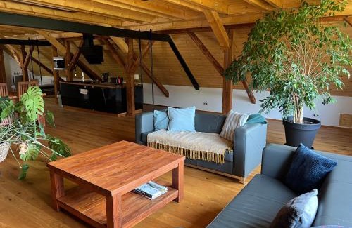 Horovicky Apartment | Apartmán typu Loft