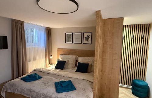 Golcuv Jenikov Apartment | Apartmán U Baziliky