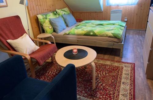 Olomouc Apartment | Apartmán U Klášterního Hradiska