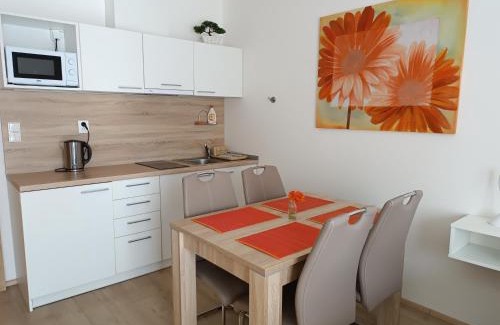 Dolni Morava Apartment | Apartmán U Sjezdovky