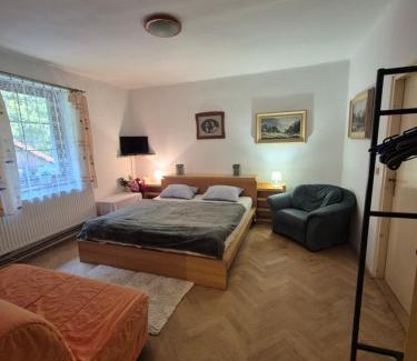 Kubova Hut Apartment | Apartmán U Vachtů