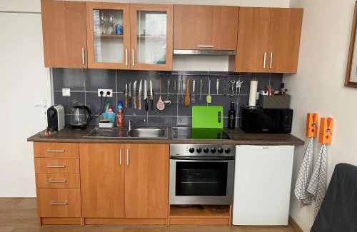 Jablonec nad Nisou Apartment | Apartmán v Lesní