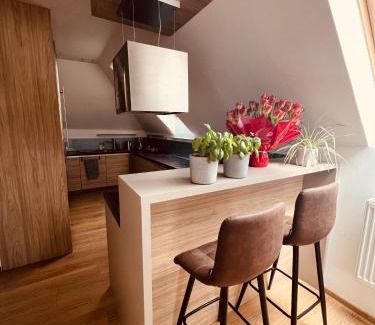 Podebrady Apartment | Apartmán VALORI - Mezonet 100m2