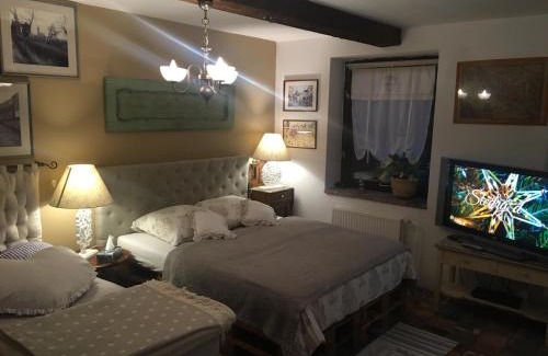 Kutna Hora House | Apartmán Vrchlice