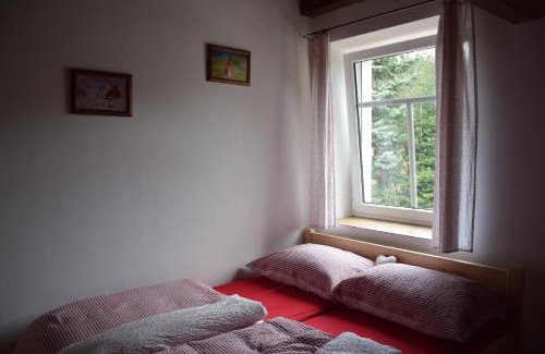 Starkov Apartment | Apartmány Hájenka