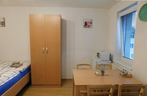 Horni Plana Apartment | Apartmány Horní Planá