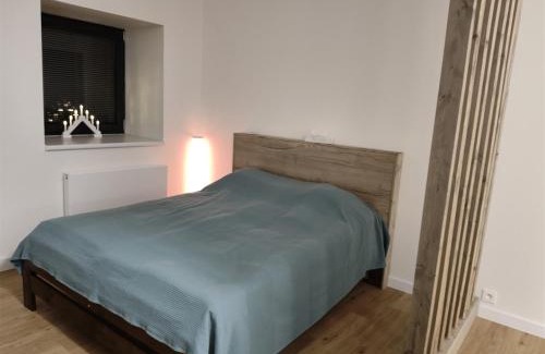 Svinna Apartment | Apartmány Javorná