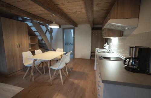 Bozi Dar Apartment | Apartmány Jurica Boží Dar 88