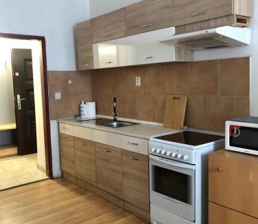 Usti nad Labem Apartment | Apartmány Pražská
