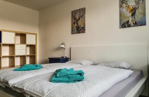 Kovarska Apartment | Apartmány SCHMIEDEBERG u KLÍNOVCE