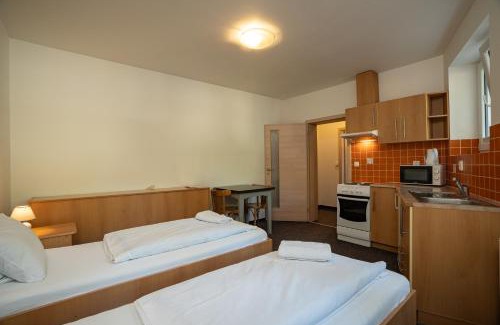Plzen 3 House | Apartmány U Gigantu