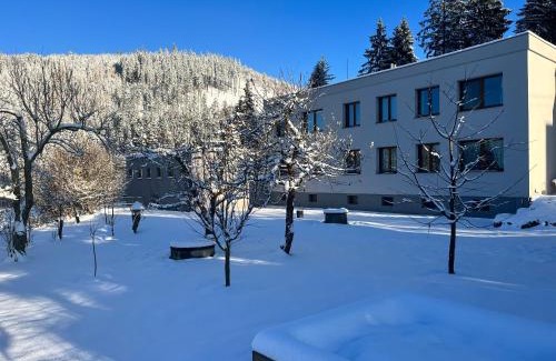 Horni Becva Apartment | Apartmány U Studánky