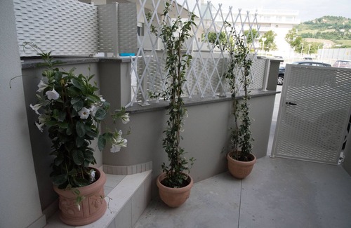San Benedetto del Tronto House | Apartment with newly built garden 400 meters from the sea