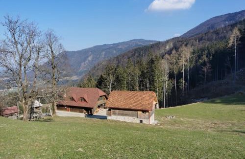 Gornji Grad Ski Chalet | APARTMA BREST