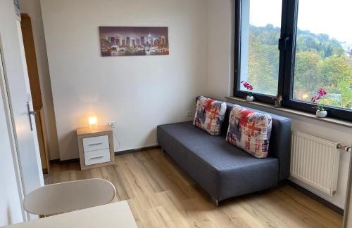 Ljubljana City Centre Apartment | apartma Golovec
