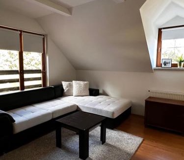 Paka Apartment | Apartma Jakob Rogla