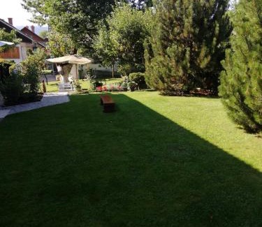 Zasip Apartment | Apartma pri Olgi