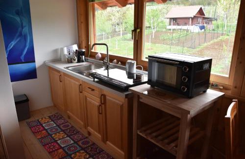 Metlika Apartment | Apartma Silvia