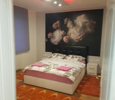 Bijeljina Apartment | Apartman Aleksandar, BN centar