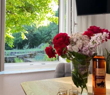 Vrlika Apartment | Apartman ANA
