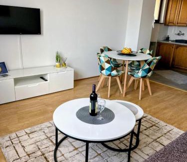 Canton 10 Apartment | Apartman Baljak