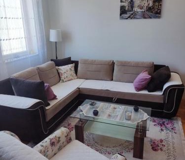Pluzine Apartment | Apartman DUNJA