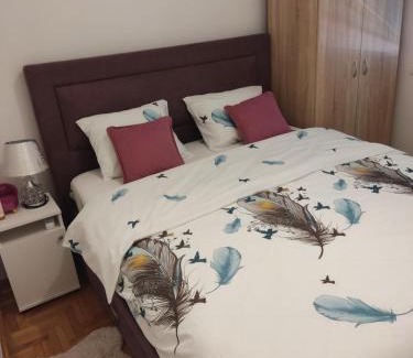 Pluzine Apartment | Apartman DUNJA