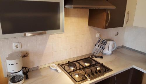 Viskovici Apartment | Apartman Ema 4+2