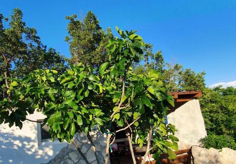 Muc Villa | Apartman Gizdavac