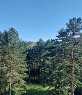 Divcibare Apartment | APARTMAN GREEN HILLS 20