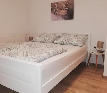 Gola Apartment | Apartman kod Kraljevih
