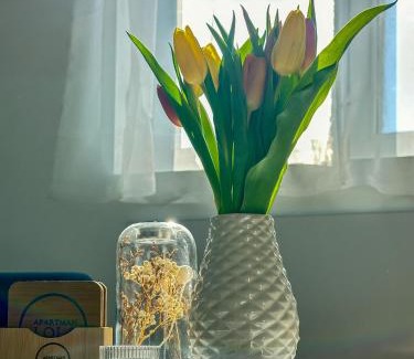 Vinkovci Apartment | Apartman Lola
