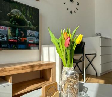 Vinkovci Apartment | Apartman Lola
