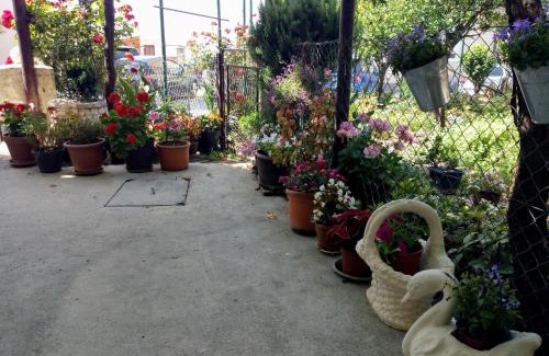 Podmaine Apartment | Apartman Lora