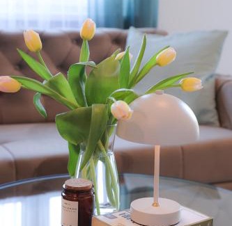 Banja Luka Apartment | Apartman Mint&White Borik