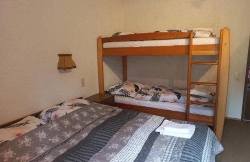 Mitterfirmiansreut Apartment | Apartman Mitterdorf Almberg 7