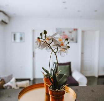Teslic Apartment | Apartman MN Teslic