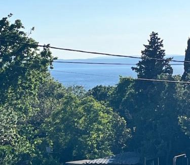 Povile Apartment | Apartman Nevia