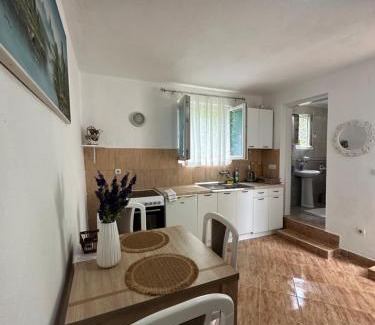 Risan Apartment | Apartman Nina
