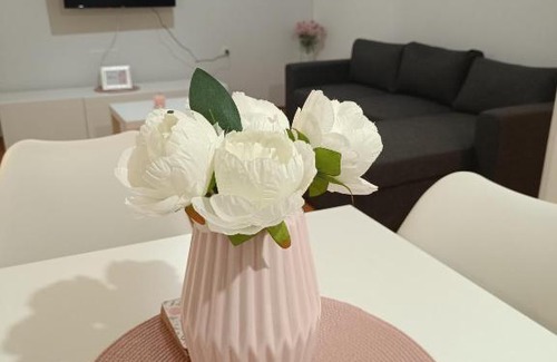 Slavonski Brod Apartment | Apartman Panonia