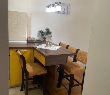 Cacak Apartment | APARTMAN RODA