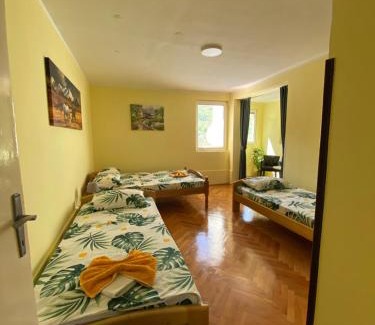 Pluzine Apartment | Apartman Sara