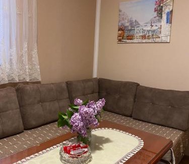 Pluzine Apartment | Apartman Sara
