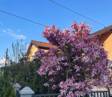 Novi Grad Sarajevo Apartment | Apartman- Sarajevo