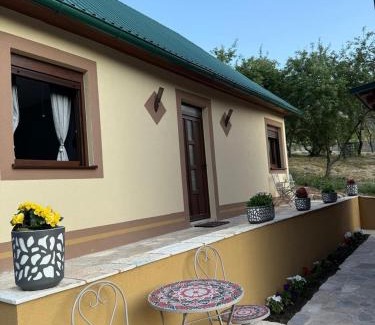 Pluzine Apartment | Apartman Smaragd Lux
