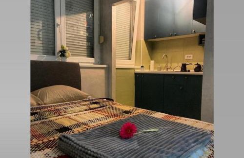 Niksic Apartment | Apartman Sofija