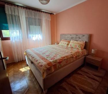 Pluzine Apartment | Apartman Sofija
