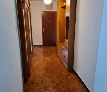 Pluzine Apartment | Apartman Sofija