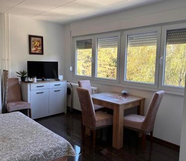 Pancevo Apartment | Apartman Stefan