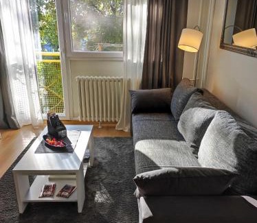 Slavonski Brod Apartment | Apartman TEO